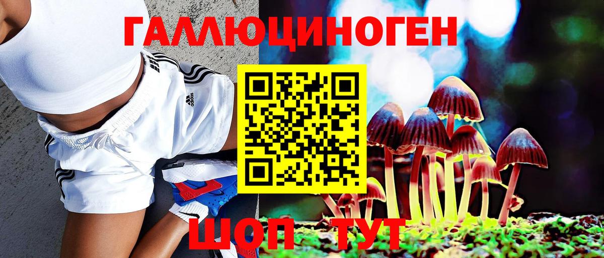 Псилоцибиновые грибы GOLDEN TEACHER  Галлюциногенные грибы мицелий  продажа наркотиков  Вход с VPN  Рыбинск 